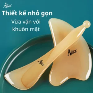Bộ Dụng Cụ Guasha Massage Nâng Cơ Mặt Và Bấm Huyệt ALIZZ AL-14394