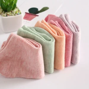 Combo 5 Đôi Vớ Nữ Cổ Ngắn Cotton Màu Pastel