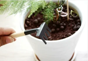 Bộ 3 Dụng Cụ Làm Vườn Mini Cán Gỗ: Cào Và 2 Xẻng