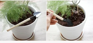 Bộ 3 Dụng Cụ Làm Vườn Mini Cán Gỗ: Cào Và 2 Xẻng