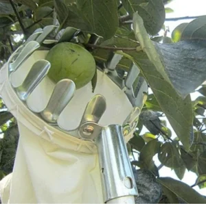 Đầu Lồng Hái Trái Cây Miệng 16 cm Kèm Túi Vải, Gắn Cán Dài