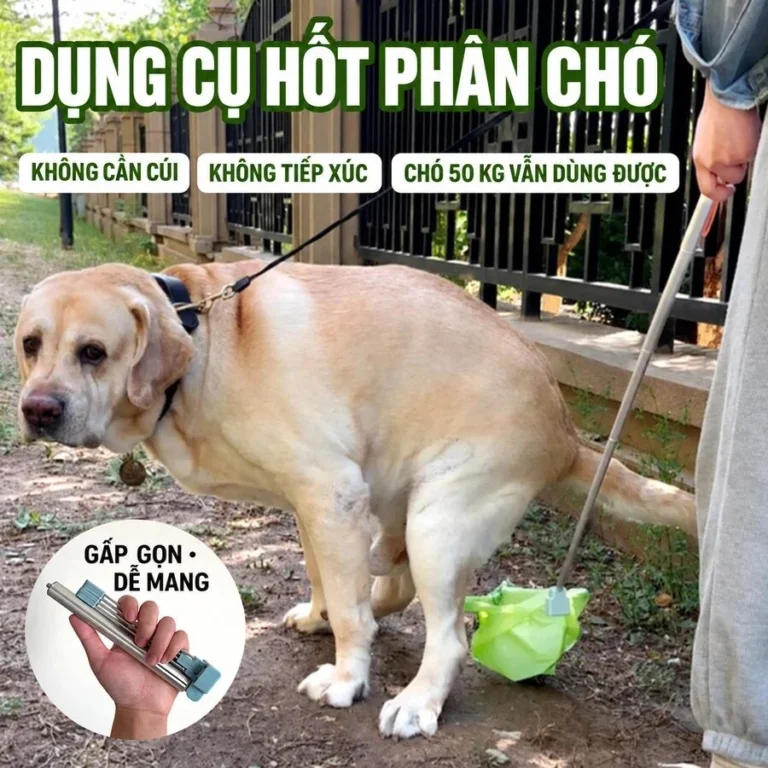 Dụng Cụ Hốt Phân Chó Mèo Cán Dài 80 cm Gấp Gọn, Lồng Túi Một Tay