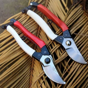 Kéo Cắt Tỉa Cành Lưỡi Thép Có Lò Xo, Dài 18 cm