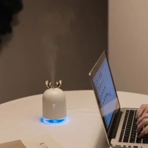 Máy Tạo Độ Ẩm Mini Hình Thỏ 220 ml Phun Sương 50 ml/Giờ, Tự Tắt Sau 4 Giờ, Cắm USB
